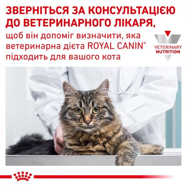 Сухий корм для дорослих кішок Royal Canin Gastro Intestinal Cat - 2 кг 39050201 фото