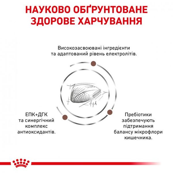 Сухий корм для дорослих кішок Royal Canin Gastro Intestinal Cat - 2 кг 39050201 фото