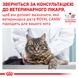 Сухий корм для дорослих кішок Royal Canin Gastro Intestinal Cat - 2 кг 39050201 фото 10