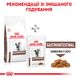 Сухий корм для дорослих кішок Royal Canin Gastro Intestinal Cat - 2 кг 39050201 фото 9