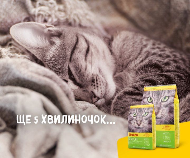 Сухой корм для котов Josera SensiCat с чувствительным пищеварением (400 г) 4032254749240 фото