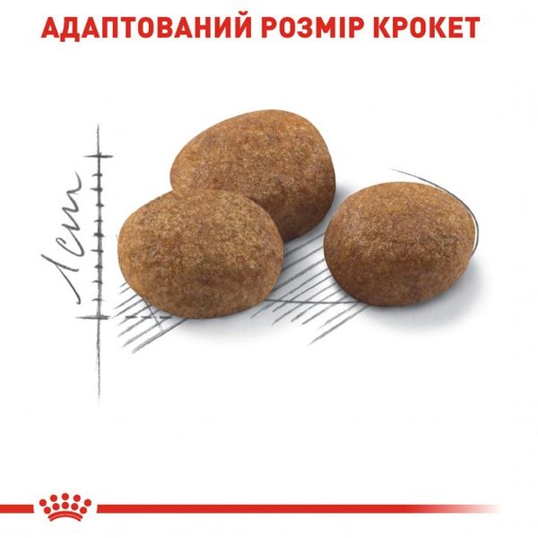 Сухой корм для взрослых стерилизованных кошек Royal Canin Sterilised 7+ - 1.5 кг 2560015 фото