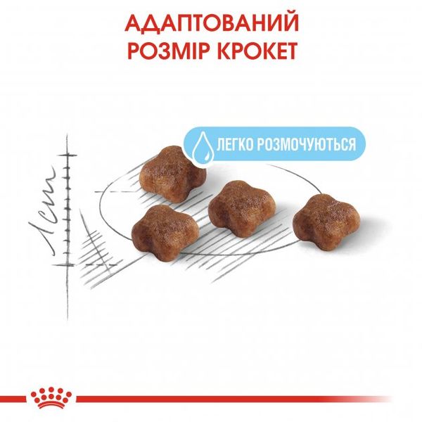 Сухой корм для новорожденных котят и кошек Royal Canin Mother & Babycat - 400 г 2544004 фото