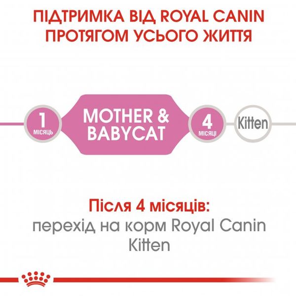 Сухий корм для новонароджених кошенят та кішок Royal Canin Mother & Babycat - 400 г 2544004 фото