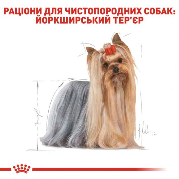 Упаковка вологого корму для дорослих собак Royal Canin Yorkshire Adult 0.085 кг x 12 шт 2040001 фото