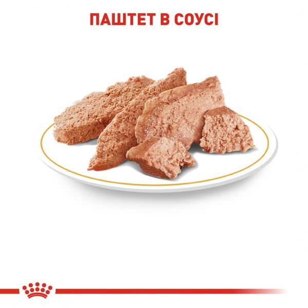 Упаковка вологого корму для дорослих собак Royal Canin Yorkshire Adult 0.085 кг x 12 шт 2040001 фото