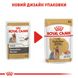 Упаковка влажного корма для взрослых собак Royal Canin Yorkshire Adult 0.085 кг x 12 шт 2040001 фото 7