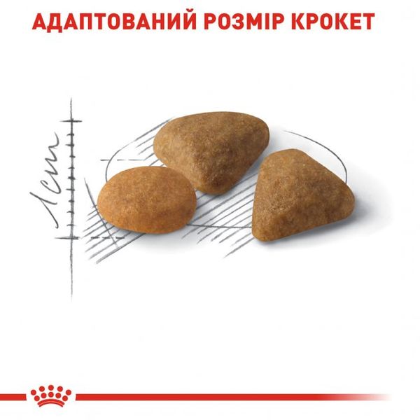 Сухой корм для котів Royal Canin Exigent Savour - 400 г 2531004 фото