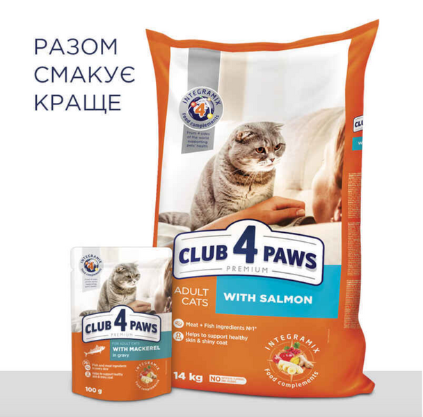 Упаковка влажного корма для взрослых кошек Club 4 Paws (Клуб 4 Лапы) Премиум в соусе с макрелью 100 г х 24 шт 111824174 фото